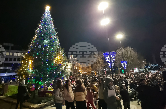 Русе - коледна елха 