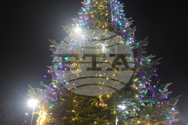 Русе - коледна елха