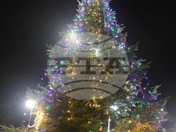 Русе - коледна елха