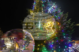 Русе - коледна елха