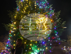 Русе - коледна елха