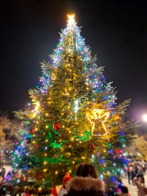 Община Русе: Грейнаха светлините на Коледната елха в центъра на Русе
