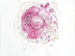 Творба от проекта Double that. Снимка: Галерия Hostgallery