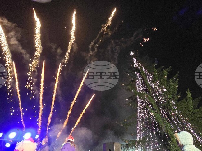 Добрич - коледна елха - светлини 