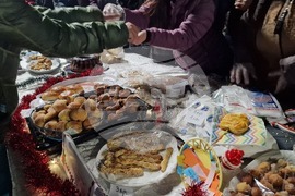 Исперих - коледна елха - светлини