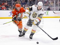Knights Ducks Hockey