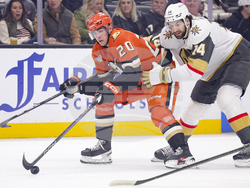 Knights Ducks Hockey