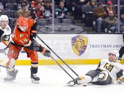 Knights Ducks Hockey