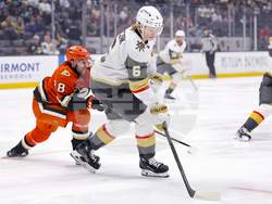 Knights Ducks Hockey