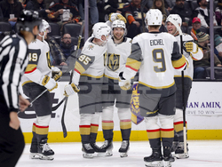 Knights Ducks Hockey