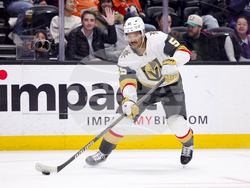 Knights Ducks Hockey