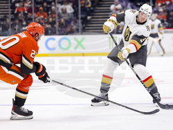Knights Ducks Hockey