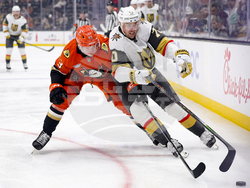 Knights Ducks Hockey