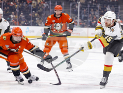 Knights Ducks Hockey