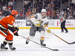 Knights Ducks Hockey