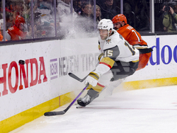 Knights Ducks Hockey