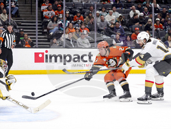 Knights Ducks Hockey
