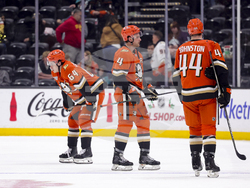 Knights Ducks Hockey
