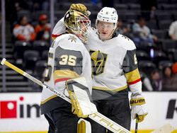 Knights Ducks Hockey