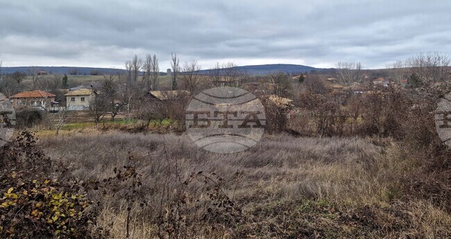 Млади семейства, завърнали се от Чили и Мексико, купуват къщи по 13 цента в малка община в Хърватия