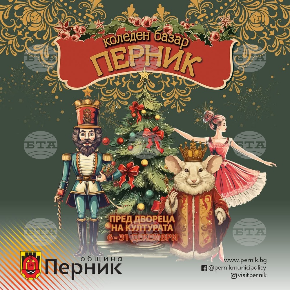 Утре ще грейнат светлините на коледната елха в Перник