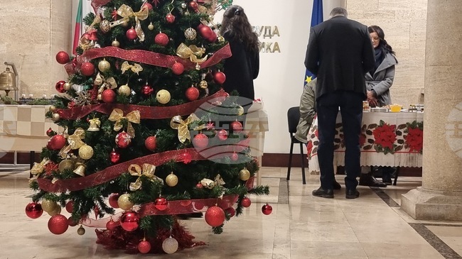 Коледен базар в подкрепа на различни каузи бе открит в социалното министерство