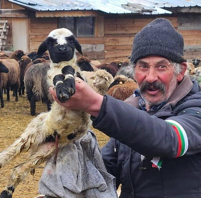 Партия МИР подкрепи българските животновъди и се обяви против избиването на животни без доказана причина