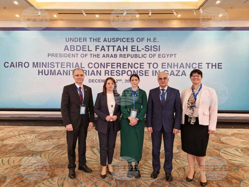 Deputy Foreign Minister Attends Gaza Conference in Egypt