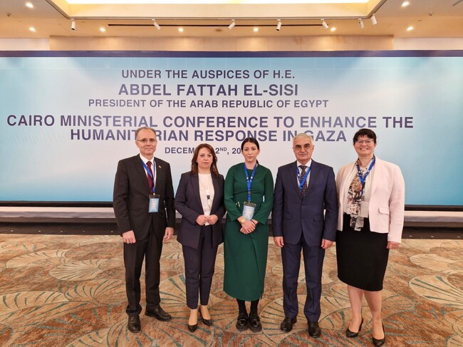 Deputy Foreign Minister Attends Gaza Conference in Egypt