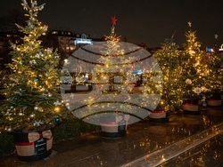 Снимка: Фондация "Стоян Камбарев"