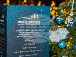 Снимка: Фондация "Стоян Камбарев"