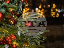 Снимка: Фондация "Стоян Камбарев"