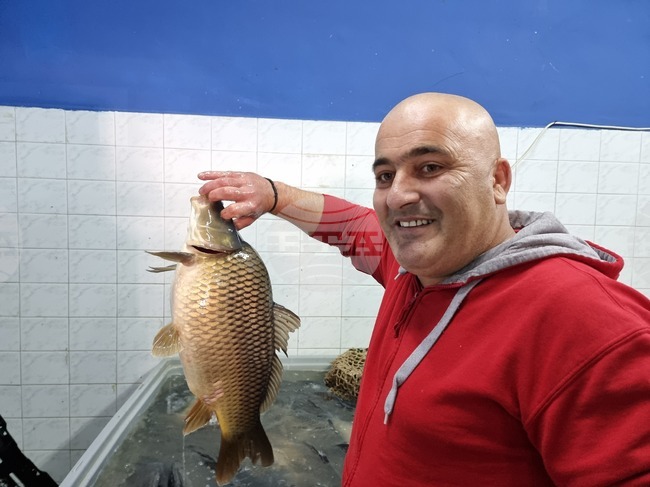 Никулденският шаран в Ямбол и тази година е по 8,50 лева за килограм жива риба