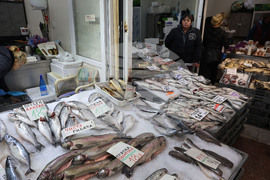 Варна - Рибна борса