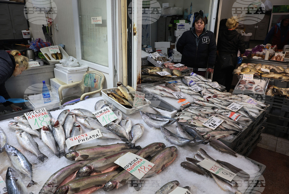 Варна - Рибна борса