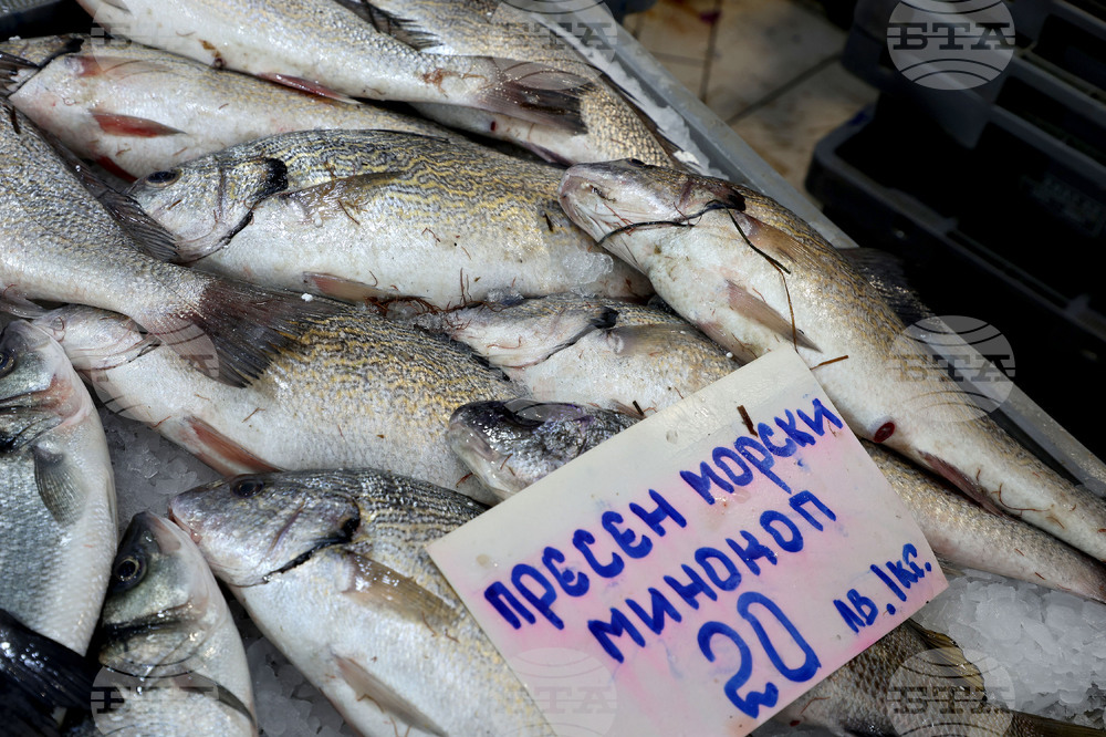 Варна - Рибна борса