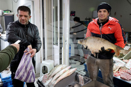 Варна - Рибна борса