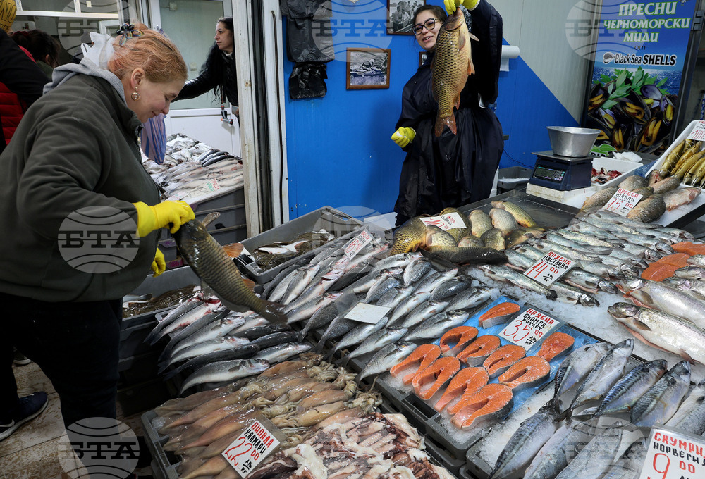 Варна - Рибна борса