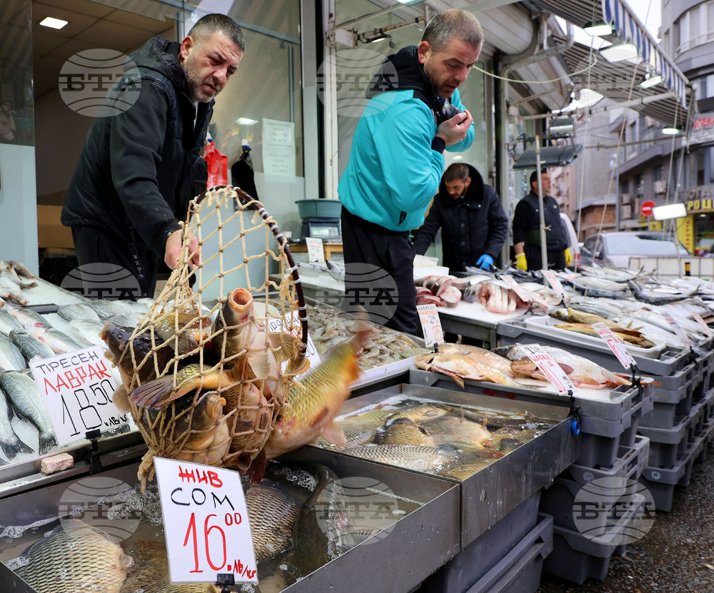 Варна - Рибна борса