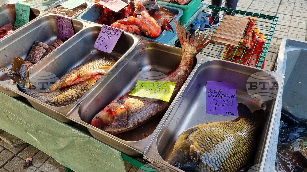 Търговище - риба - пазар