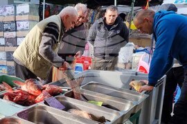 Търговище - риба - пазар