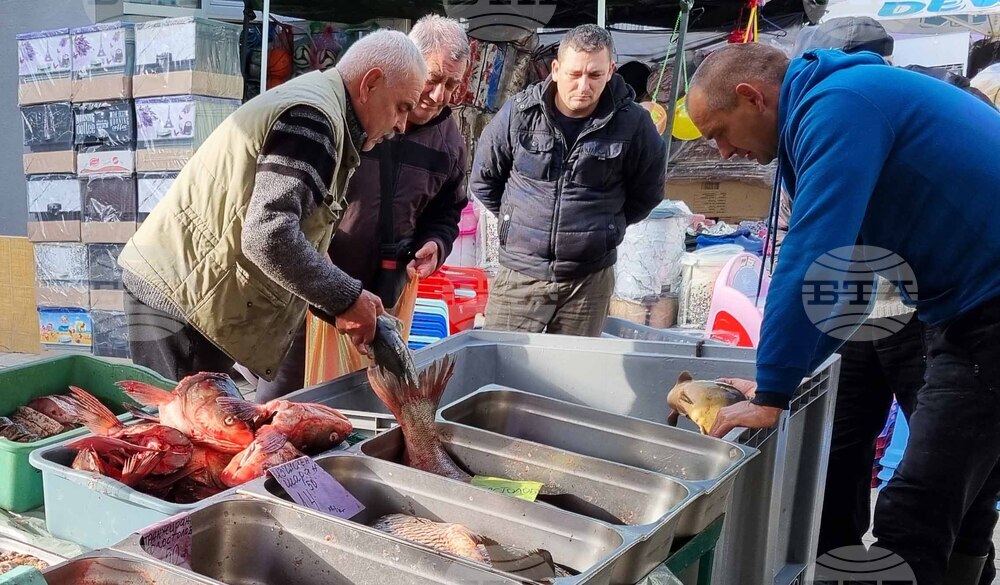 Търговище - риба - пазар