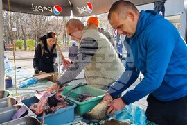 Търговище - риба - пазар