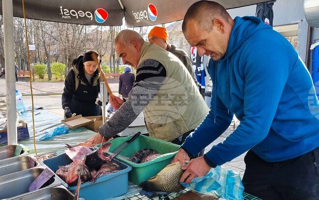 Търговище - риба - пазар