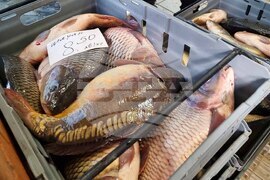 Сливен - Никулден - риба