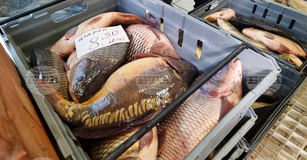 Сливен - Никулден - риба