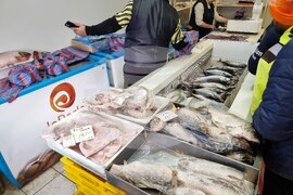 Сливен - Никулден - риба