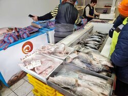 Сливен - Никулден - риба