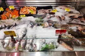 Сливен - Никулден - риба