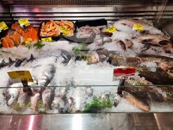 Сливен - Никулден - риба